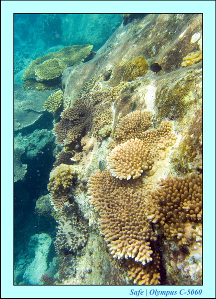 2008 - 07 - Leng Tengah - 079